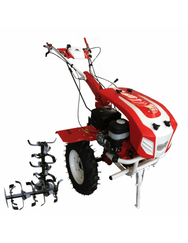 Motocultor pe benzina 10CP, Gear Box BTA-10SG