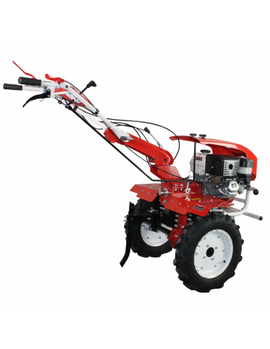 Motocultor pe benzina 10CP, Gear Box BTA-10SG