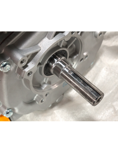 Motor motosapa Weima WM230F 7.5 CP ax pana WM500, 00005246, 765,00 lei