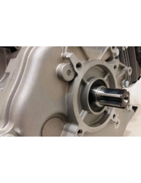 Motor motorina Weima WM186FE de 9CP ax canelat 25 mm pornire electrica, 00002838, 2.550,00 lei