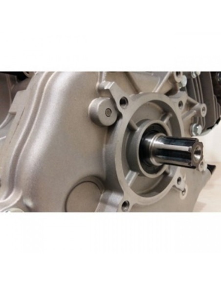 Motor Weima WM190 F/P de 16 CP ax canelat 25 mm pentru 1100F, 00005248, 1.499,00 lei