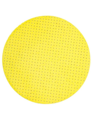 Super discuri JOST pentru Heron ROKAMAT, 225 mm, granulometrie 80 (6 buc)