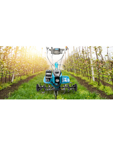 Pachet motocultor cu utilaje Dakard HS1000BNEW, 8CP