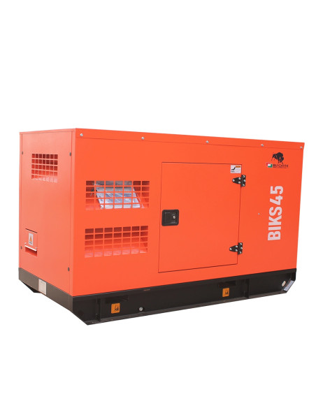 Generator de curent Bisonte BIKS45, insonorizat, Putere maxima 44kVA, 400V, ATS inclus