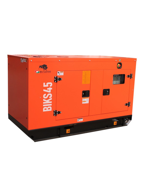 Generator de curent Bisonte BIKS45, insonorizat, Putere maxima 44kVA, 400V, ATS inclus